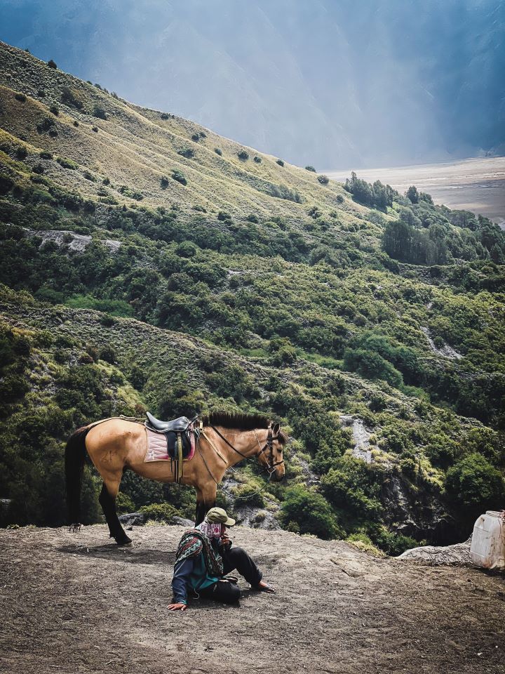 ruta por indonesia caballo y hombre sentado mirando hacia un lado encima de una roca de un mirador